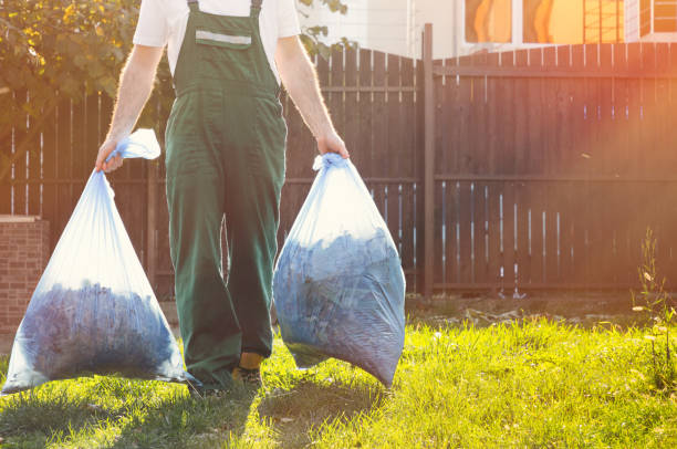 Best Full-Service Junk Removal  in Clayton, NM