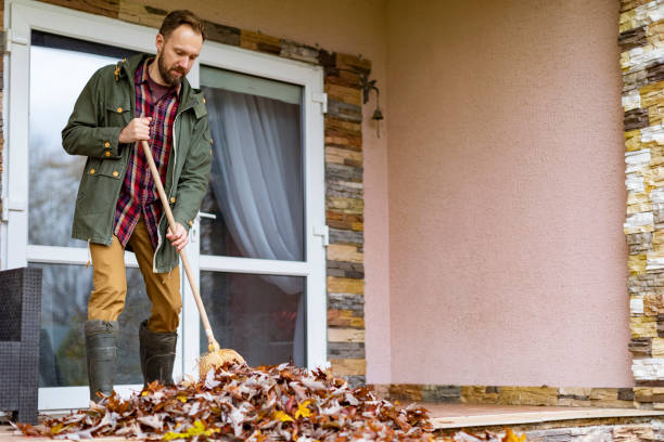 Best Estate Cleanout Services  in Clayton, NM